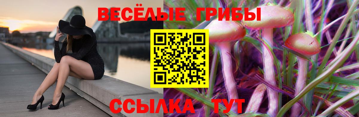 Галлюциногенные грибы мухоморы  Псилоцибиновые грибы Psilocybine cubensis  Вход с VPN  Чебаркуль 